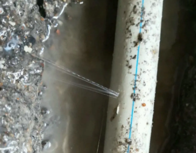 荔波测漏水哪家好