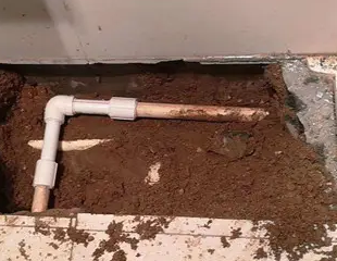 荔波测漏水哪家好