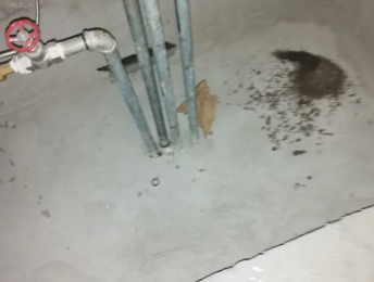 荔波卫生间测漏水价格明细