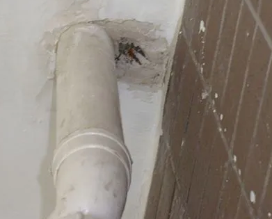 荔波漏水检测哪家好